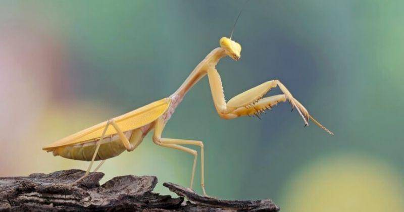 Freepik/kuritafsheen77